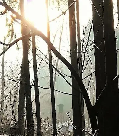 Romantische Zeitreise In Historischer Kaeserei *